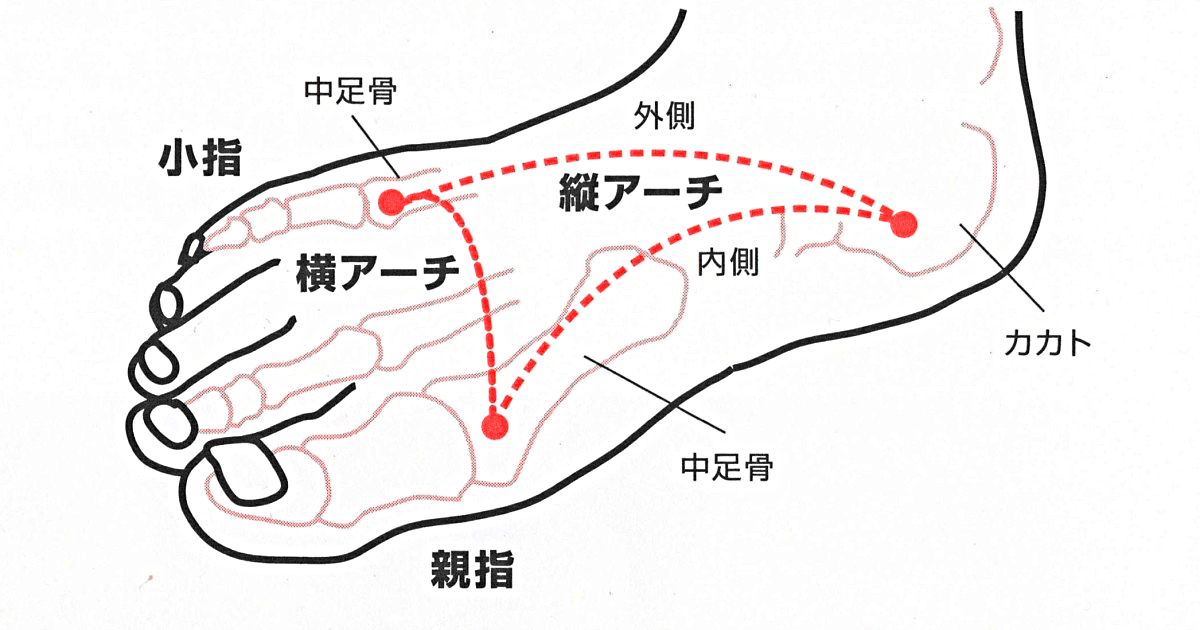 足裏3点アーチ