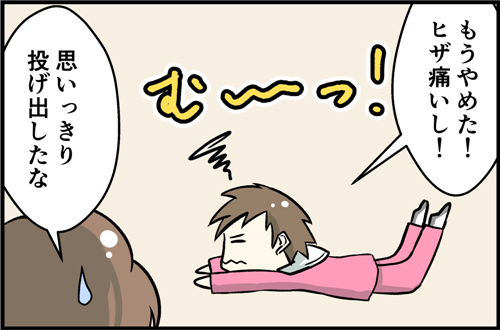 もうやめた。ヒザ痛いし。思いっきり投げ出したな