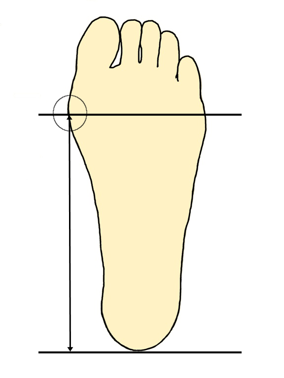 足裏内側縦アーチの測り方
