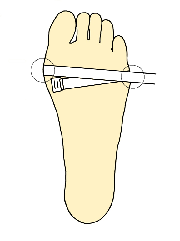 足囲の測り方