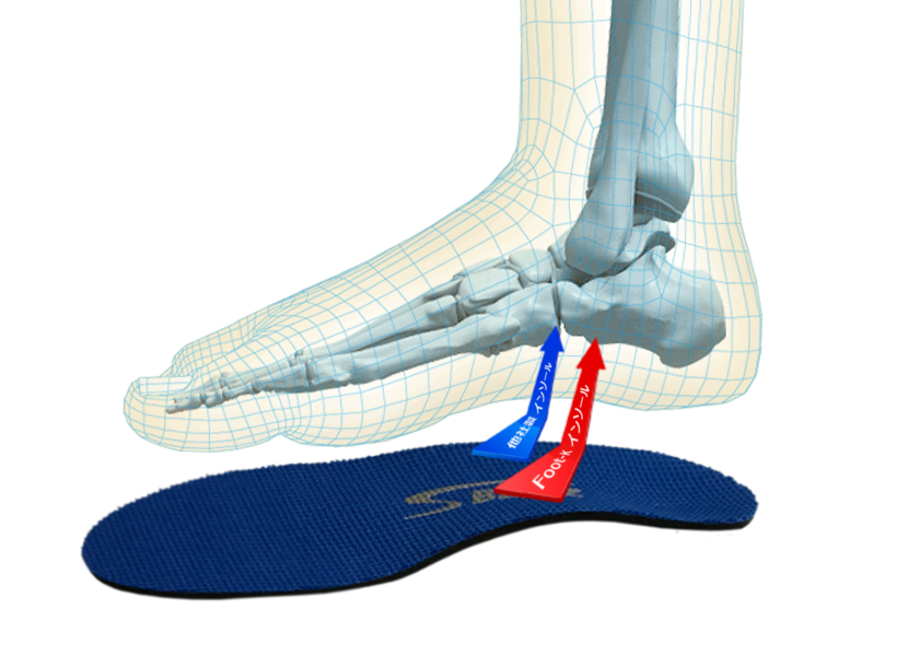 インソールFoot-Kが多くの人に適合しやすいポイント